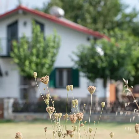 Holiday home Pratsas House Sykia Chalkidikis