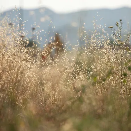 Pratsas House Ferienhaus *